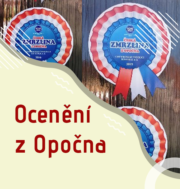 ocenění z Opočna